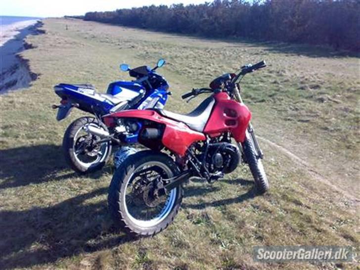 Suzuki RMX  --> SOLGT billede 6