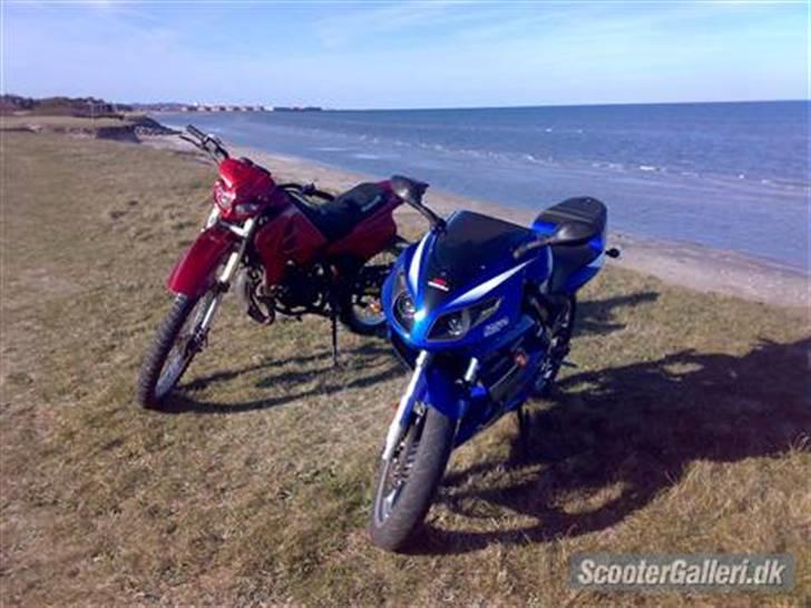 Suzuki RMX  --> SOLGT billede 7