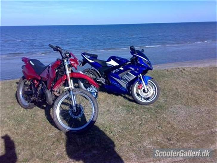 Suzuki RMX  --> SOLGT billede 8