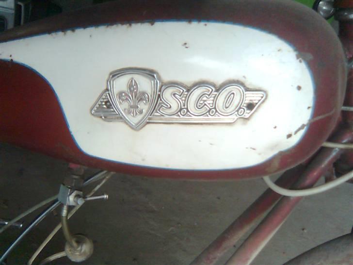 Sco Super  billede 5