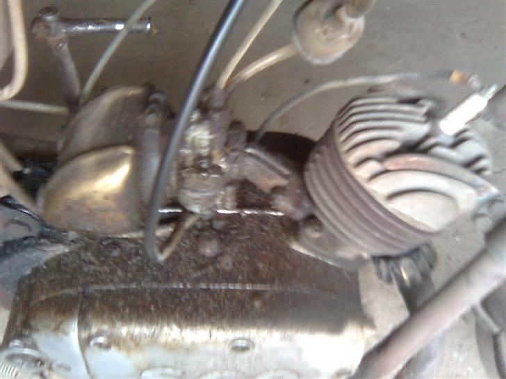 Sco Super  billede 6