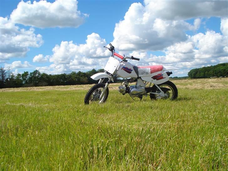 MiniBike 70ccm blueberry  billede 2