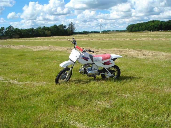 MiniBike 70ccm blueberry  billede 3