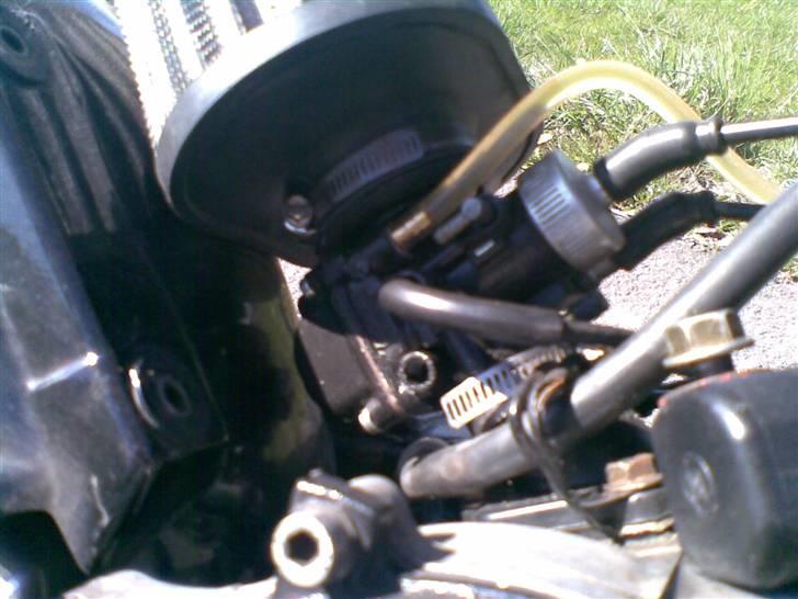 Suzuki Street Magic - "Beatrice" billede 17