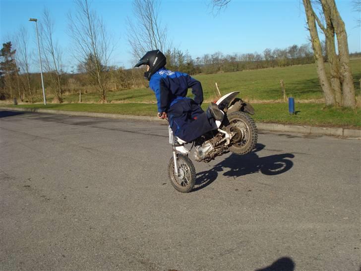 MiniBike 70ccm blueberry  billede 7