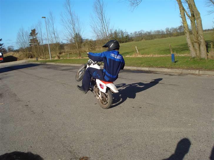 MiniBike 70ccm blueberry  billede 8