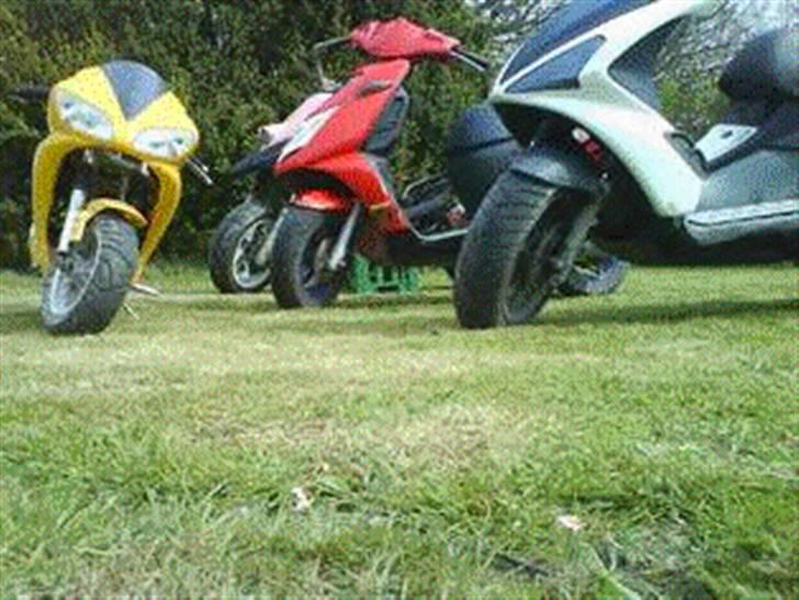 Aprilia Sonic (solgt) billede 13