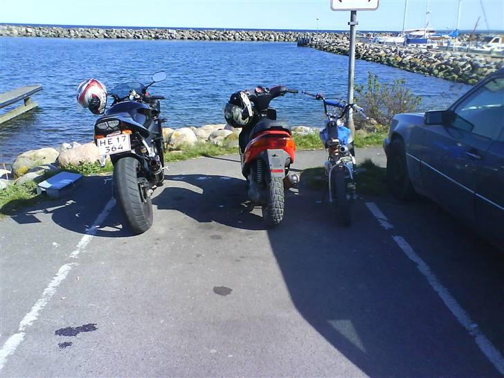 MiniBike 125ccm crosser :) - Solgt billede 10