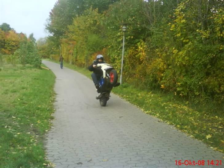 Gilera Stalker [perlemor]  90% - Elsker bare at lege    :b billede 1