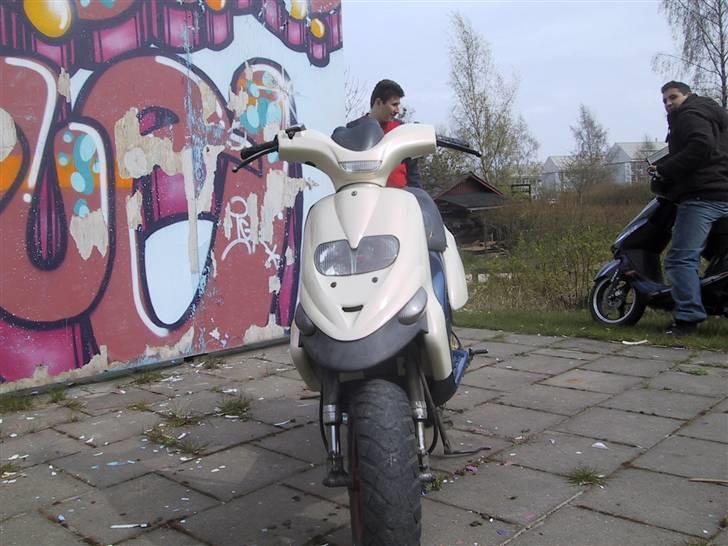 Gilera Stalker [perlemor]  90% billede 8