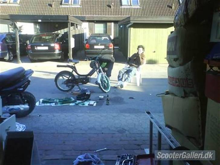 Piaggio Bravo (Carlsberg Projekt) billede 8