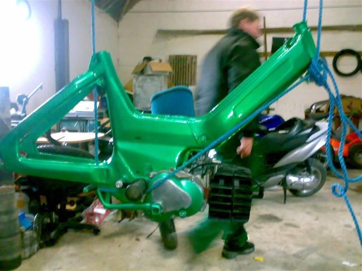 Puch Maxi - (Død) billede 9