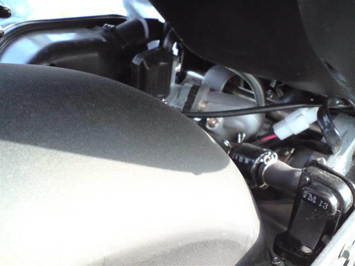 PGO PMX Sport billede 4