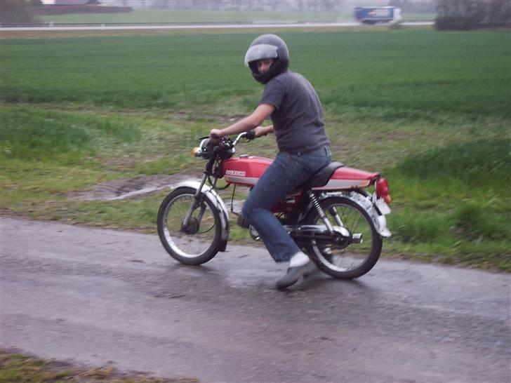 Suzuki dm 50 (sommerhus bke )  billede 1