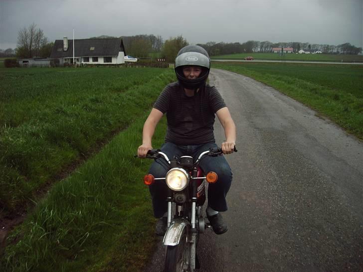 Suzuki dm 50 (sommerhus bke )  billede 10