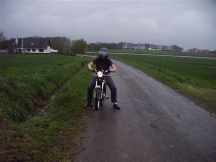 Suzuki dm 50 (sommerhus bke )  billede 11