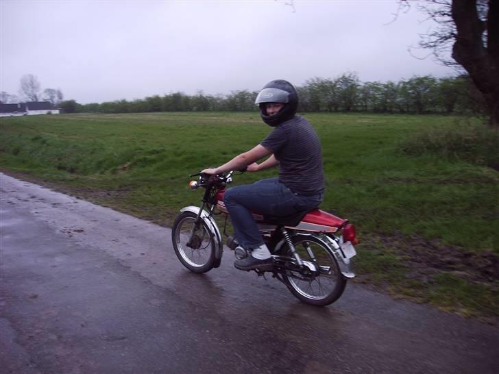 Suzuki dm 50 (sommerhus bke )  billede 12