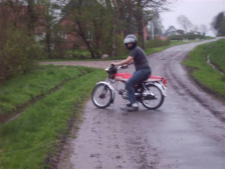 Suzuki dm 50 (sommerhus bke )  billede 13