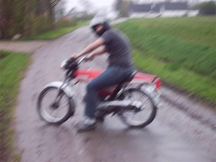 Suzuki dm 50 (sommerhus bke )  billede 14