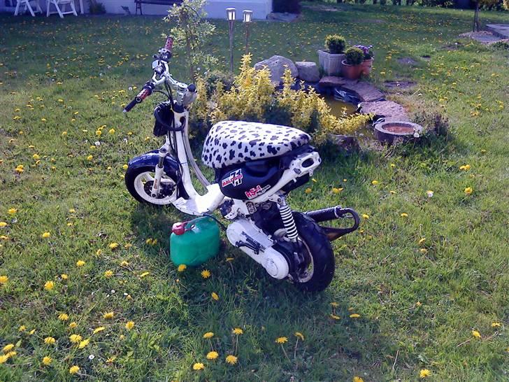 Aprilia Sonic LCE evo2 **SOLGT** billede 3