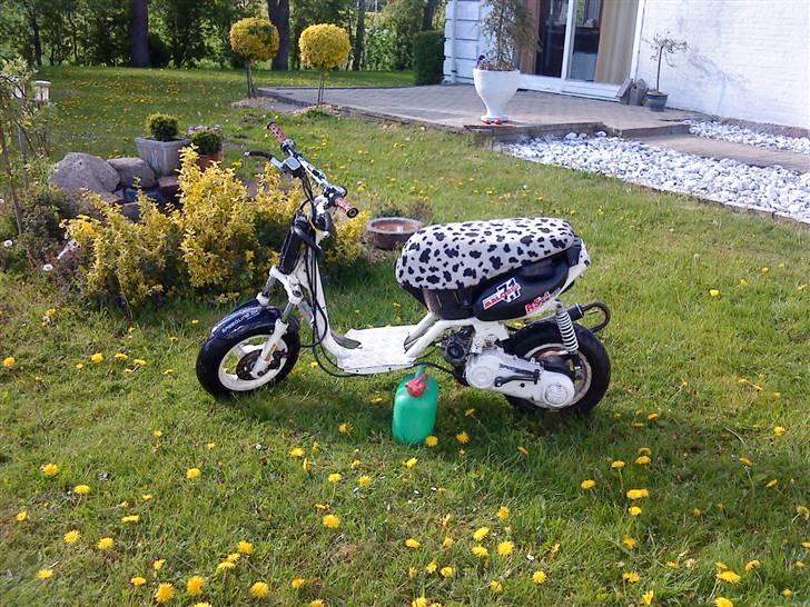 Aprilia Sonic LCE evo2 **SOLGT** billede 4