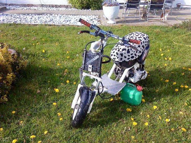 Aprilia Sonic LCE evo2 **SOLGT** billede 5