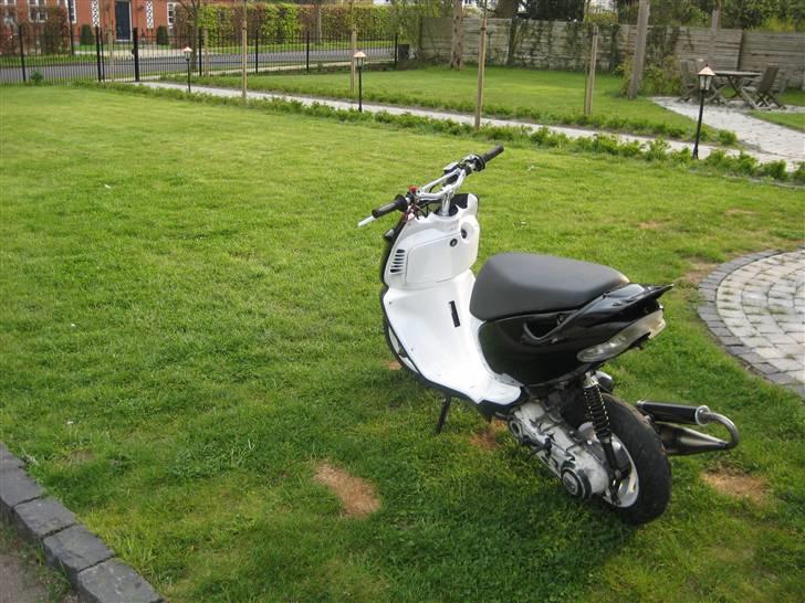 Aprilia sonic  - med de nye skjolde billede 3