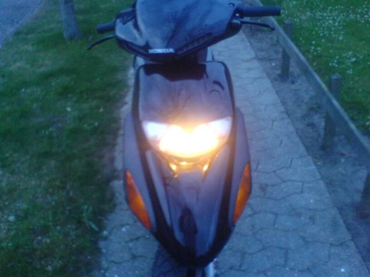 Honda SFX FLOT billede 2