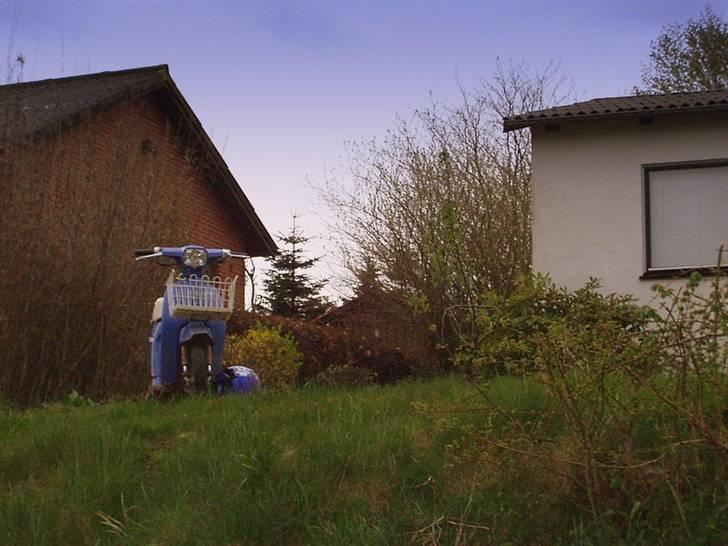 Honda Melody Mini - TILSALG ! billede 12