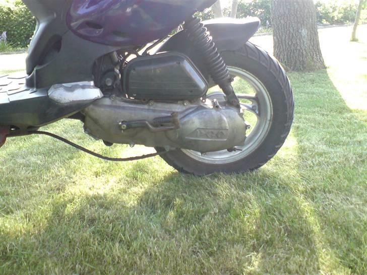 PGO PMX Sport [Solgt] billede 9