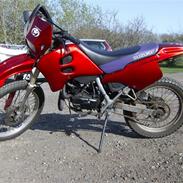 Suzuki rmx SOLGT !