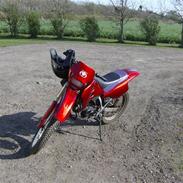 Suzuki rmx SOLGT !