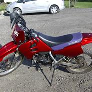 Suzuki rmx SOLGT !