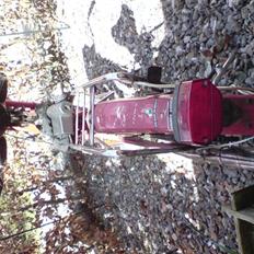 Puch maxi k **SOLGT**