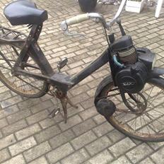 Velo solex 3800 (SOLGT)
