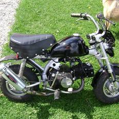 Jincheng Monkey [Byttet til jog]