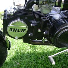 Jincheng Monkey [Byttet til jog]