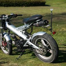 Sachs Madass UdSolgt