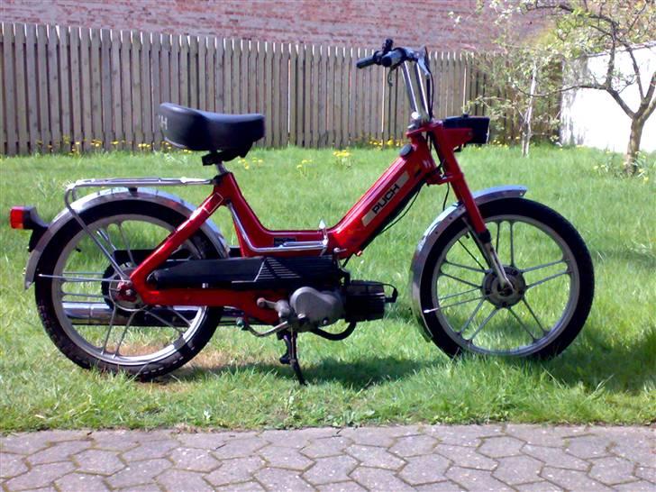 Puch Maxi  billede 2