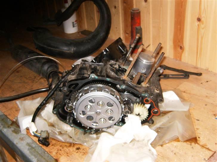 Suzuki SMX billede 10