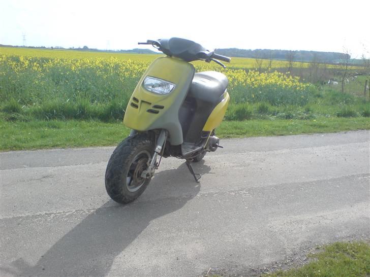 Piaggio typhoon( byttet) billede 8