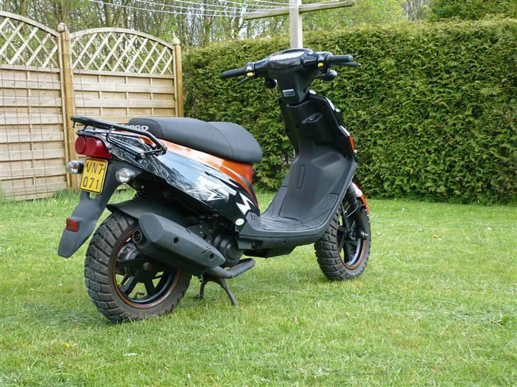 PGO Hot 50 - Nice ass... billede 4