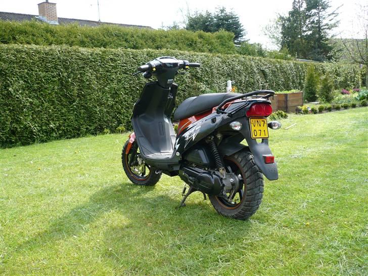 PGO Hot 50 - Nice ass billede 11