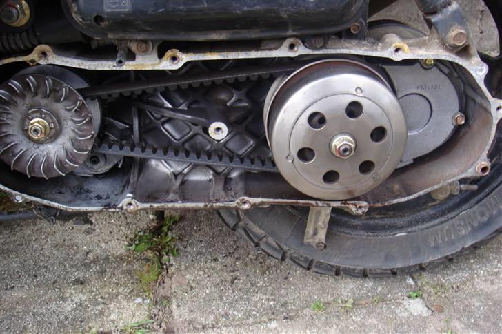 PGO dr.big solgt billede 10