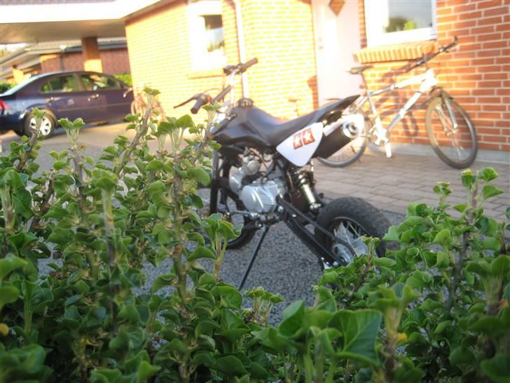 MiniBike dirtbike solgt :( billede 4
