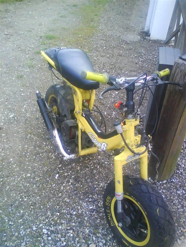 Suzuki fz 50/typhoon  billede 11