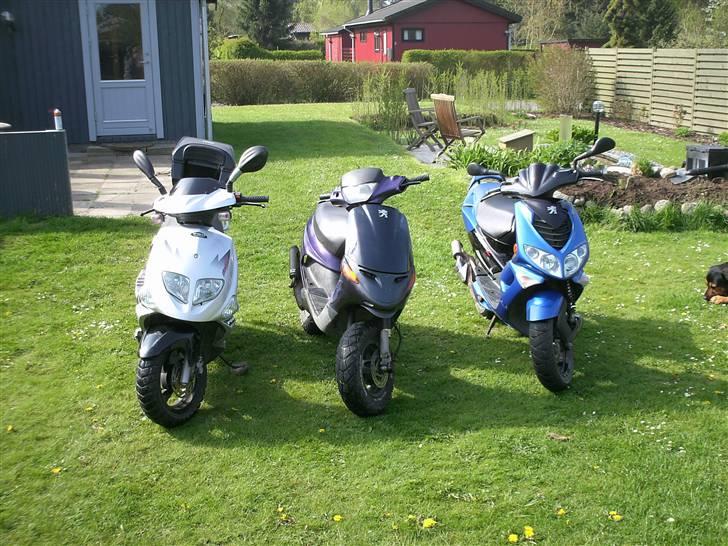 Peugeot Speedfight 2 * SOLGT * - DBT klanen! : venstre -> højre : Knud, Lea og Mie :-)  billede 7