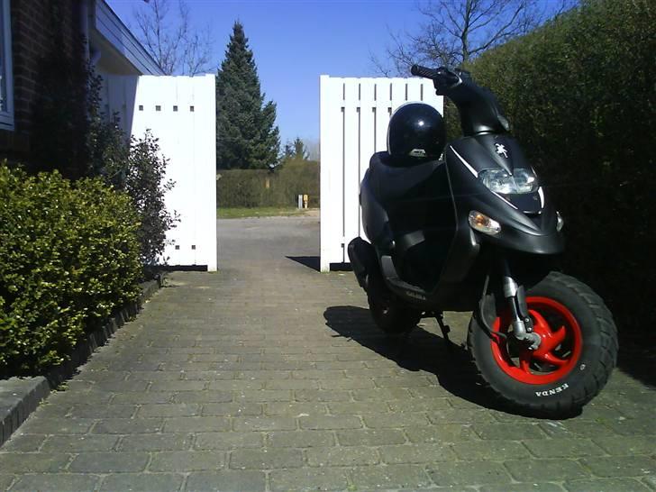 Gilera Stalker TILSALG!! - Rrrr´ biite me! billede 13