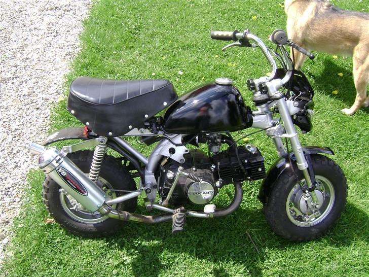 Jincheng Monkey [Byttet til jog] - Monkey:D billede 1