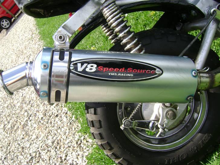 Jincheng Monkey [Byttet til jog] - Smukke V8  billede 3